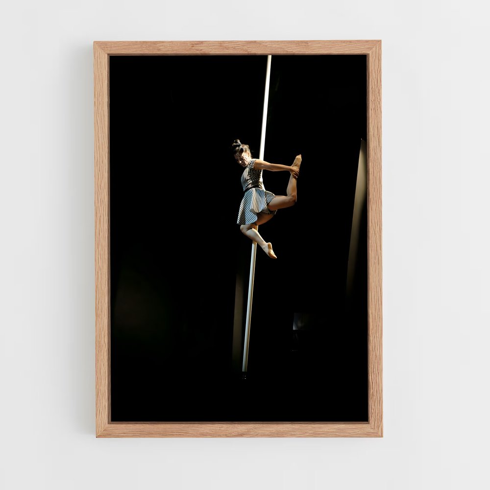 Poster Shadow Dance – affiche Danse (vue 4)